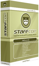 Стандартная Коробка StaffCop